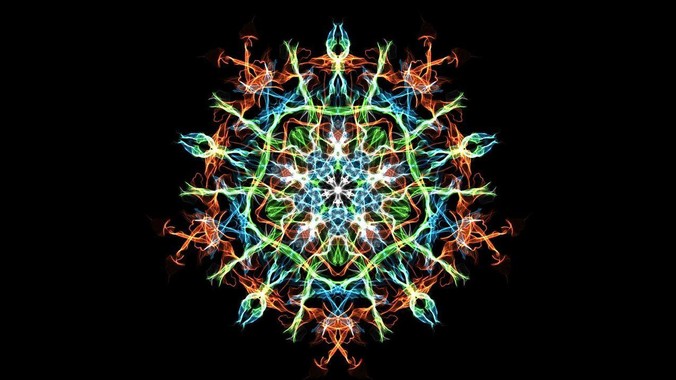 这种此前全球未见活体的神秘生物,被我们在中国南海发现了_动物_研究生_抹香鲸